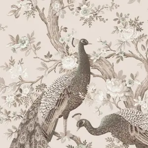 Laura Ashley Belvedere Soft truffle Peacock Smooth Wallpaper