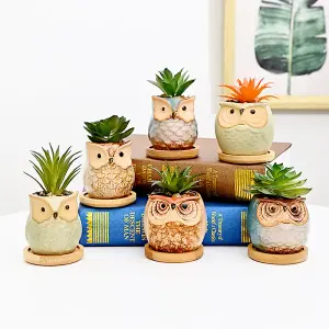 simpa 6PC Assorted Shaped Owl Ceramic Plant Pots with Bamboo Base