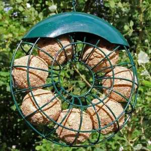 3pcs Hanging Wild Bird Feeder - Seed, Nut and Fat Ball Donut style