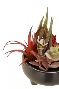 Fiori Mixed Succulents In Grey Ceramic Pot Artificial Plant Foliage