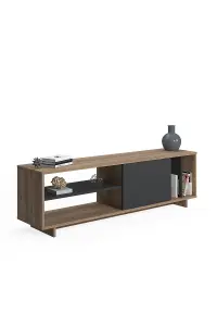 Ruby TV Stand with 4 Shelves and 1 Cabinet, 152 x 35 x 46 cm TV Unit Table for TVs up to 65 inch, Oak