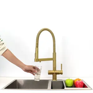 Hommix Savona Brushed Brass Pull-Out Spray-Hose 3-Way Tap (Triflow Filter Tap)