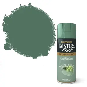 Rust-Oleum Painter's Touch Sage green Gloss Multi-surface Decorative spray paint, 400ml