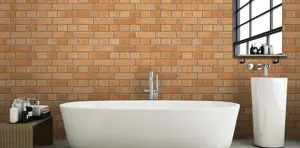 Ibstock Bristol Buff Multi Brick 65mm Mini Pack of 250