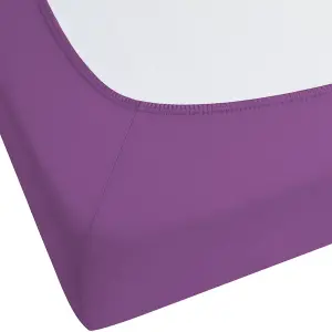 Fitted Sheet JANBU Cotton Purple