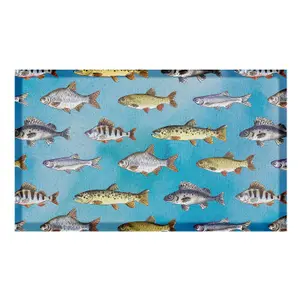 Multi Fishes Indoor & Outdoor Doormat (70 x 40cm)