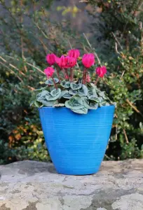 Recycled Plastic Planter Pot - 8" Savannah Ocean Blue