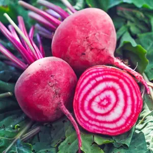 Beetroot 'Chioggia' 1 Seed Packet