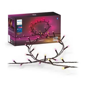 Philips Hue Festavia White and Colour String Lights 250LED