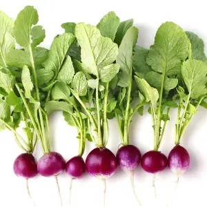 Radish Diana 1 Seed Packet (350 Seeds)