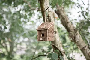 Wild Garden Bird Wooden Nesting Box