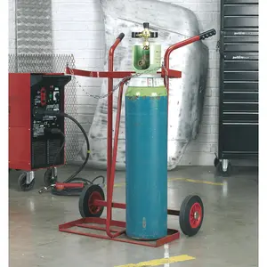 Sealey Welding Bottle Trolley - 2 Bottle ST28/B