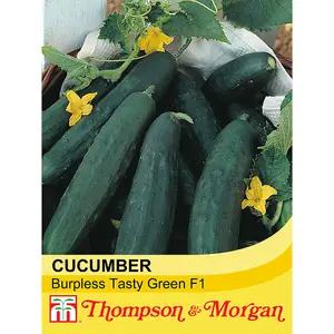 Cucumber Burpless Tasty Green 1 Seed Packet (10 Seeds)