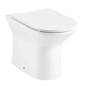 Rimless Back to Wall Toilet Pan and Soft Close Slim Seat - D Shape