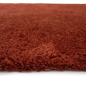 Sienna Red Luxury Plush Soft Pile Living Area Rug 120cm x 170cm