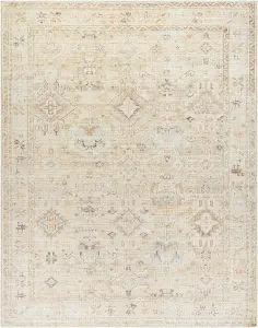 MAHI Becki Owens x Surya Oriental Vintage Area Rug 117 x 170 cm