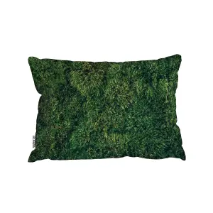 Natural Green Moss (Outdoor Cushion) / 30cm x 45cm