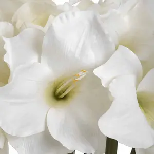 Classic White Amaryllis Artificial Flower - Plastic - L35 x W35 x H81 cm - Cream/Green