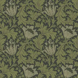 Galerie Hidden Treasures Green Anemone Floral Wallpaper Roll