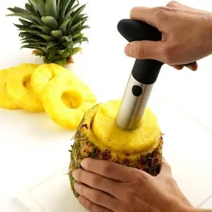 Fruit Pineapple Corer Slicer Peeler Cutter Parer Stainless Kitchen Easy Tool New