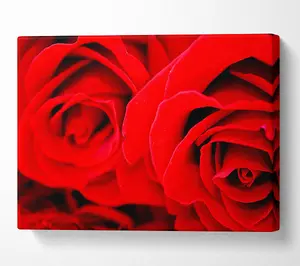 Red Rose Close-Up Twins Canvas Print Wall Art - Medium 20 x 32 Inches