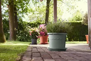 Elho Algarve Cilindro 35cm Thyme Green Recycled Plastic Plant Pot