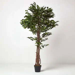 Homescapes Green Artificial Ficus Tree with Twisted Real Wood Trunk, 6 Ft