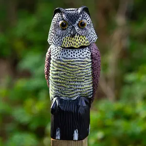 Woodside Owl With Rotating Head