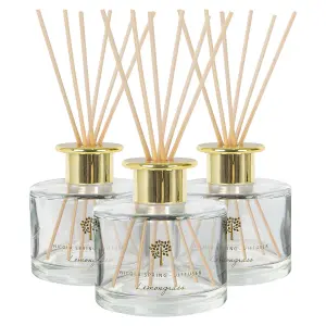 Glass Reed Diffusers - 200ml - Lemongrass - Pack of 3