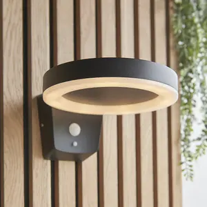 Solar Powered Outdoor Wall Light Photocell & PIR Textured Black & White Diffuser