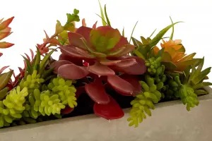 Fiori Mixed Succulents with Cement Pot Artificial Plant Foliage