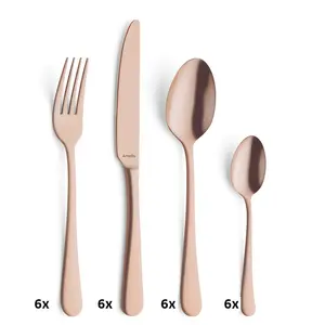 24 piece 18/10 stainless steel cutlery set for 6 people Copper