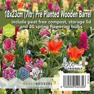 Pre-Planted Wooden Barrel Planter-30 Red & Yellow Spring Flowering Bulbs-Just Add Water-18x23cm-Peat-Free Compost-Bee-Friendly Mix