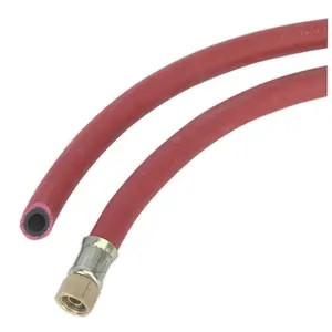 Sealey Air Hose 10m x 10mm with 1/4"BSP Unions