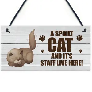 Novelty Funny Cat Sign Pet Sign Pet Gift For Family Home Decor Gift Keepsake