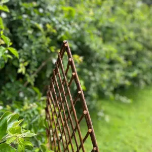 Set of 3 Willow Lattice Trellis With Gothic Top (120cm x 45cm)