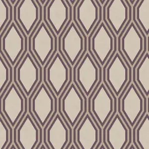 Purple Cream Trellis Wallpaper Fine Decor Geometric Metallic Paste The Wall