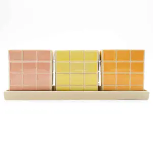 Set of 3 Warm Pastel Tile Design Ceramic Planters with Tray