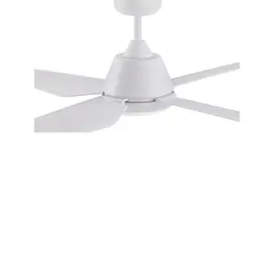 Alberte 122cm Ceiling Fan with LED Lights White