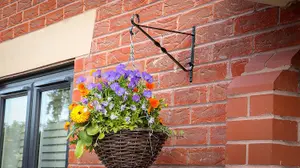 DIVCHI Pack of 4 Garden Hanging Basket Metal Wall Bracket  Twisted  UP TO 14" Baskets  14 Inch  Black)