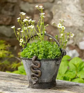 Antique Bronze Coloured Boa Constrictor Pot Buddy Plant Pot Hanger