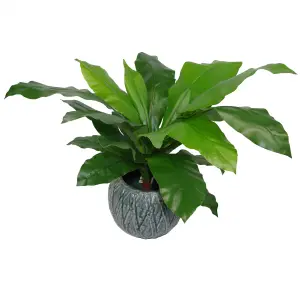 Artificial Bird Nest Fern Plastic weighted pot 60cm Realistic House Plants Botanik