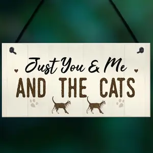 Red Ocean You Me And The Cats Sign Home Funny Crazy Cat Lady Sign Pet Lover Gift