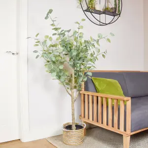 160cm Eucalyptus Tree Artificial plant in Black Australian Pot