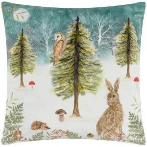 Evans Lichfield Christmas Owl Velvet Feather Rich Cushion