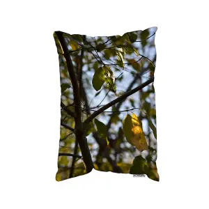 Tree Leaves In The Sunshine Nature Photography, Leaves And Branches (Cushion) / 30cm x 45cm