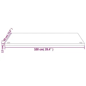 Berkfield Desk Top White 100x60x2.5 cm Solid Wood Pine