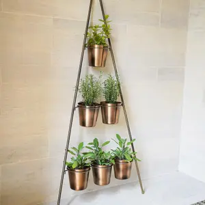 Outdoor Vertical Gold Metal Wall Plant Stand with Planters H128Cm W51Cm Planter Size Ext Diam 9Cm