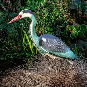 Life-Sized Decoy Heron - Weatherproof Realistic Bird Scaring Humane Deterrent for Garden Pond - Measures H71 x W16.1 x D22cm