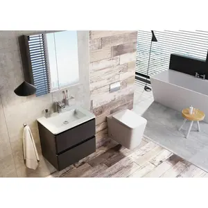 Bridge 595mm Single Bathroom Vanity with Integrated Resin Basin Grey / White